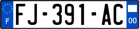 FJ-391-AC