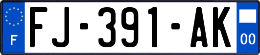 FJ-391-AK