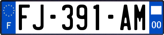 FJ-391-AM