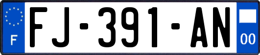 FJ-391-AN