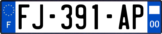 FJ-391-AP