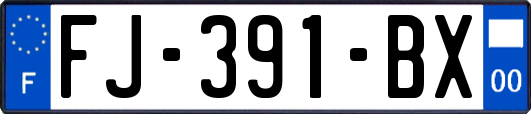 FJ-391-BX