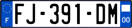FJ-391-DM