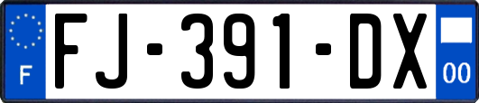 FJ-391-DX
