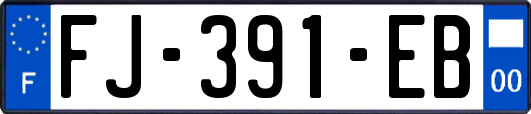 FJ-391-EB