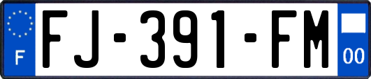 FJ-391-FM