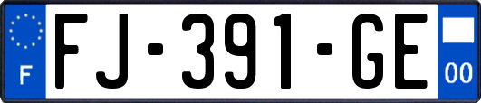 FJ-391-GE