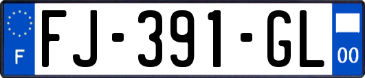 FJ-391-GL