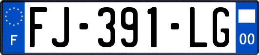 FJ-391-LG
