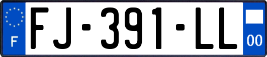 FJ-391-LL