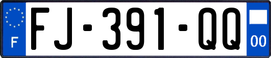 FJ-391-QQ