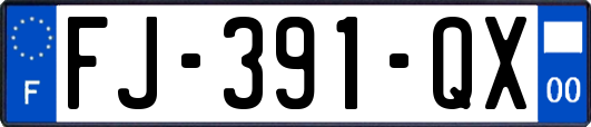 FJ-391-QX