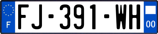 FJ-391-WH