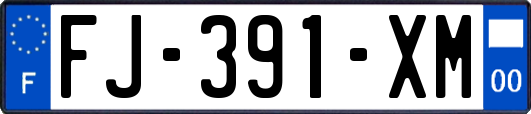 FJ-391-XM