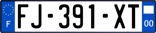 FJ-391-XT