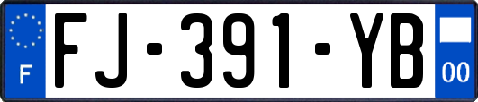 FJ-391-YB