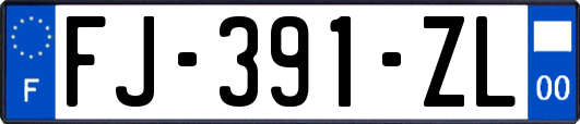 FJ-391-ZL