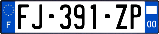 FJ-391-ZP