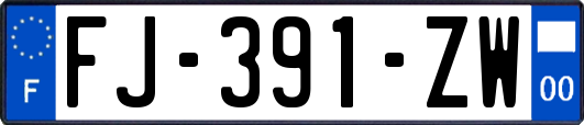 FJ-391-ZW