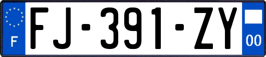 FJ-391-ZY