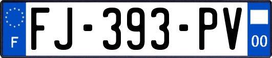 FJ-393-PV