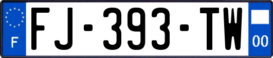 FJ-393-TW