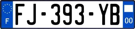 FJ-393-YB