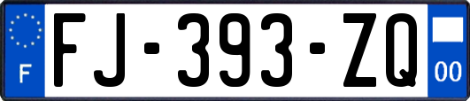 FJ-393-ZQ