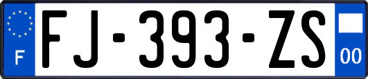 FJ-393-ZS