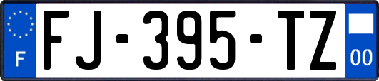 FJ-395-TZ