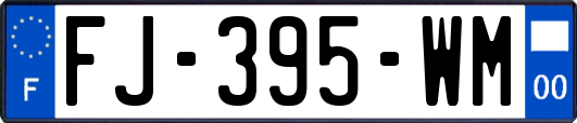 FJ-395-WM