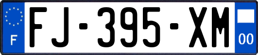 FJ-395-XM