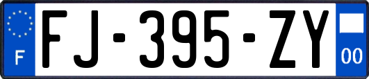 FJ-395-ZY