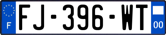 FJ-396-WT