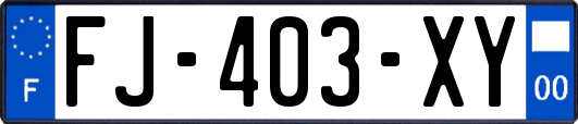 FJ-403-XY
