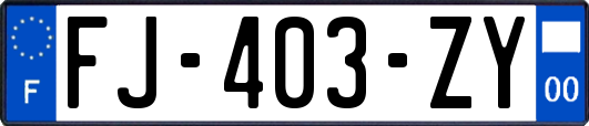 FJ-403-ZY