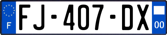 FJ-407-DX