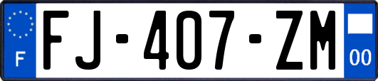 FJ-407-ZM