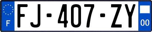 FJ-407-ZY