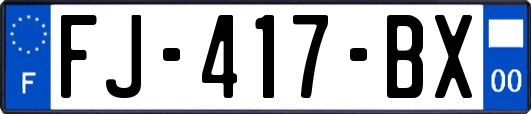 FJ-417-BX