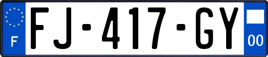 FJ-417-GY