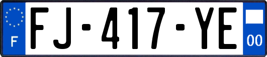 FJ-417-YE