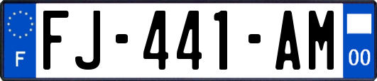 FJ-441-AM