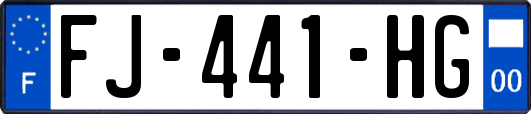 FJ-441-HG
