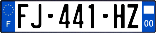FJ-441-HZ