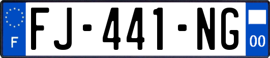 FJ-441-NG