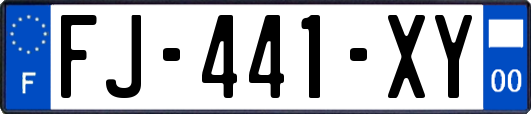 FJ-441-XY