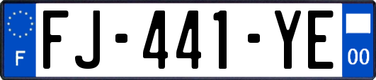 FJ-441-YE