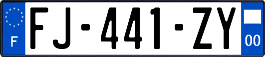 FJ-441-ZY