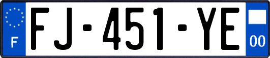 FJ-451-YE